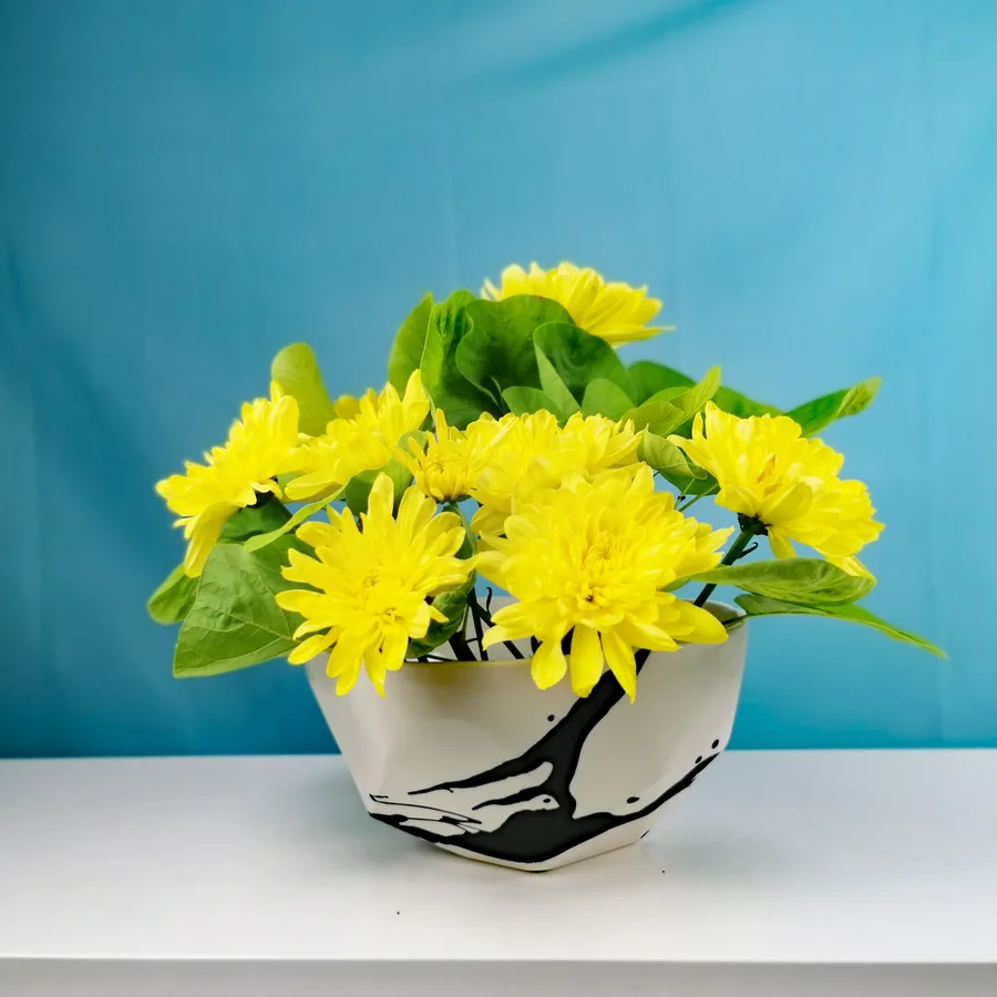 Ceramic bowl 4