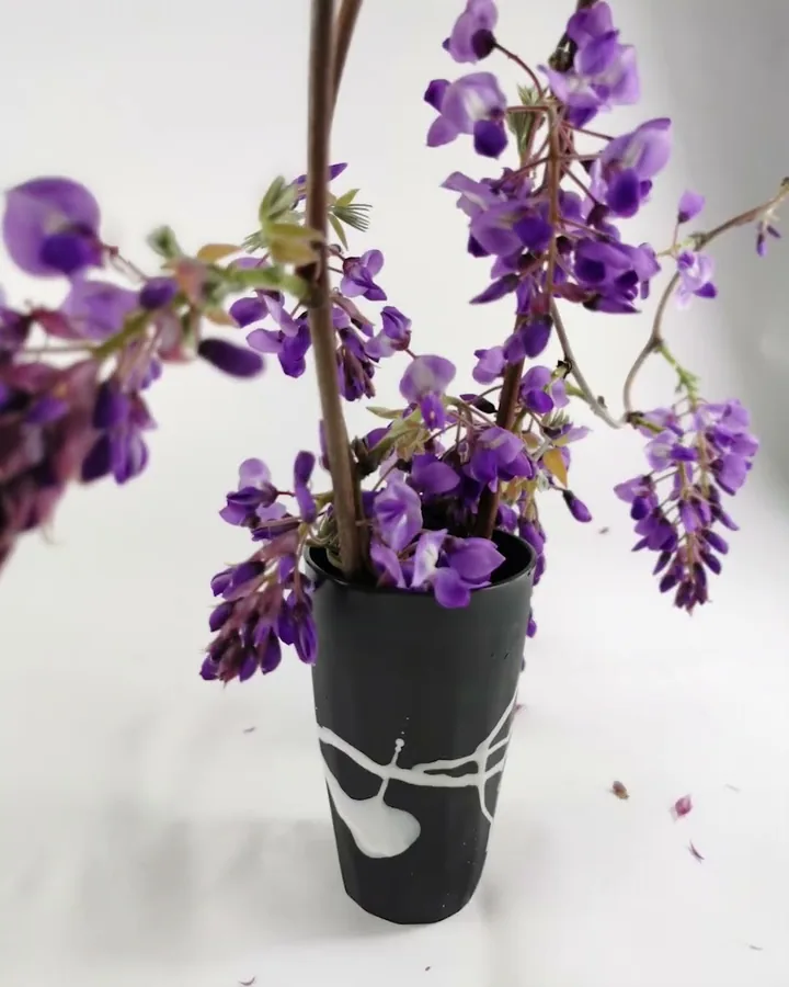 Video of a black ceramic vase holding wisteria