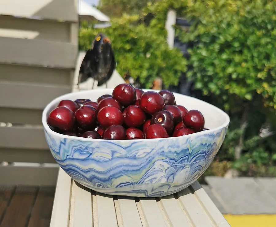 Ceramic bowl 8
